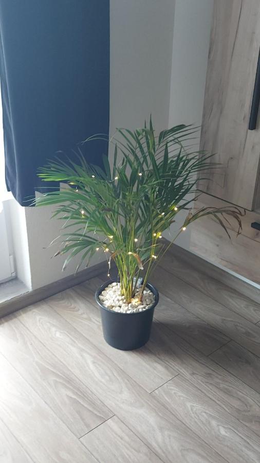Apartament Antonias Făgăraş Екстериор снимка